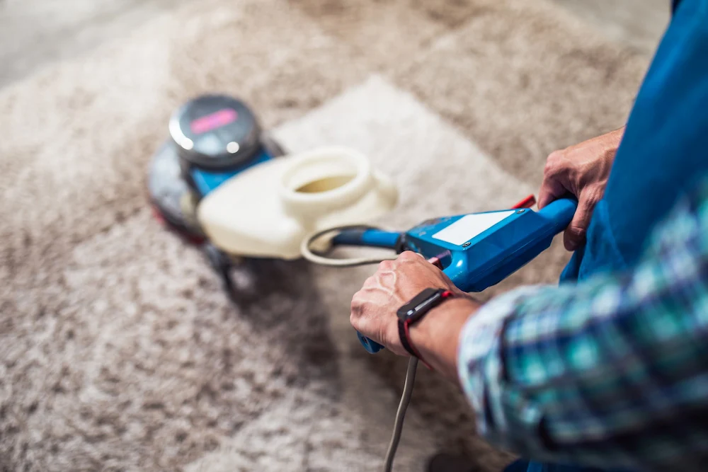 قالیشویی هیو