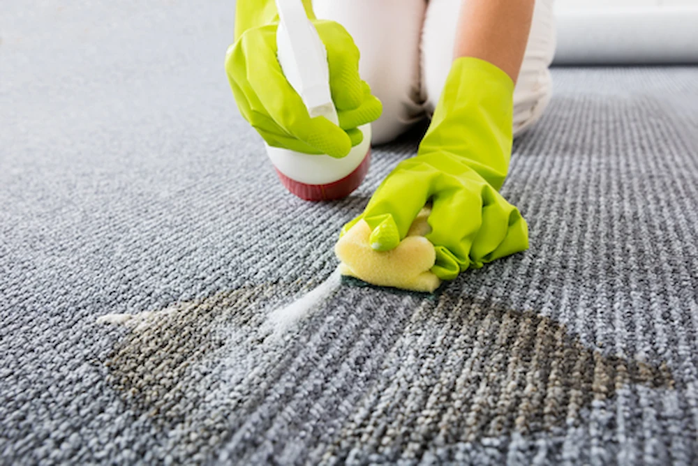 روش پاک کردن لکه روغن و چربی از فرش