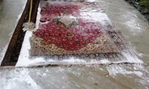 مراحل شستشوی فرش لاکی